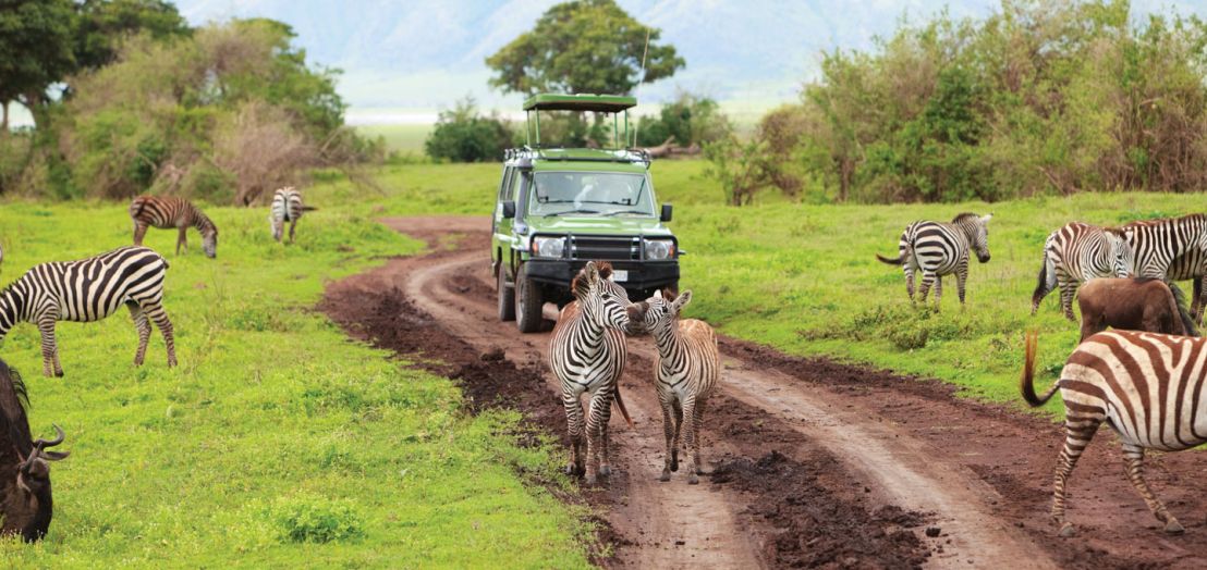 Mayflower Tours - East African Safari Adventure 2021 (67976)