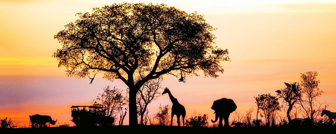 Kenya: A Classic Safari 2020 - 9 Day Tour from Nairobi to Nairobi