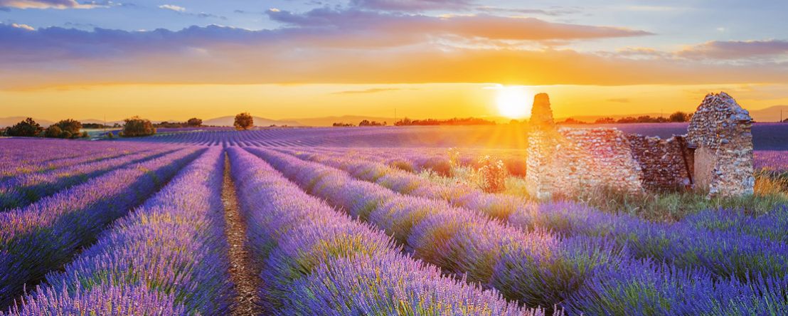 A Culinary Experience in Burgundy & Provence (Southbound) 2020 - 8 Day River Cruise St. Jean-de-Losne to Port-Saint-Louis
